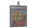 Sticker Slab | Ninjas in Pyjamas (Holo) | MLG Columbus 2016