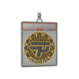 Sticker Slab | paiN Gaming (Gold) | Cologne 2026
