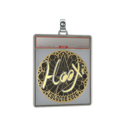 Sticker Slab | HooXi (Gold) | Cologne 2026