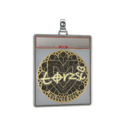 Sticker Slab | torzsi (Gold) | Cologne 2026