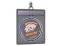 Sticker Slab | Virtus.Pro (Holo) | Cologne 2014