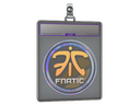 Sticker Slab | Fnatic (Holo) | Cologne 2014