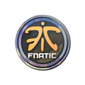 Sticker | Fnatic (Holo) | Cologne 2014