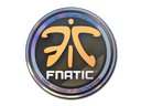 Sticker | Fnatic (Holo) | Cologne 2014