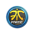 Sticker | Fnatic | Cologne 2014