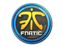 Sticker | Fnatic | Cologne 2014