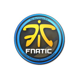 Fnatic | Cologne 2014