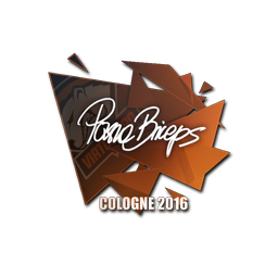pashaBiceps | Кёльн-2016