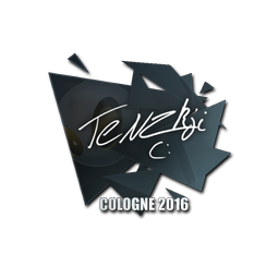 TENZKI | Кёльн-2016