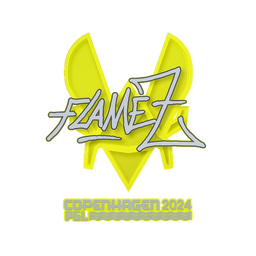 FlameZ | Копенгаген-2024