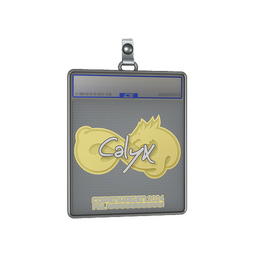 Sticker Slab | Calyx | Copenhagen 2024