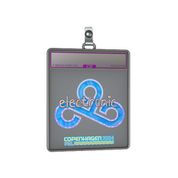 Sticker Slab | electronic (Holo) | Copenhagen 2024
