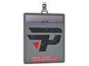 Sticker Slab | paiN Gaming (Glitter) | Copenhagen 2024