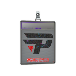 Sticker Slab | paiN Gaming (Glitter) | Copenhagen 2024