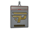 Sticker Slab | paiN Gaming (Gold) | Copenhagen 2024