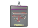 Sticker Slab | paiN Gaming (Holo) | Copenhagen 2024