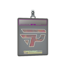 Sticker Slab | paiN Gaming (Holo) | Copenhagen 2024