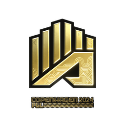 AMKAL ESPORTS (золотая) | Копенгаген-2024