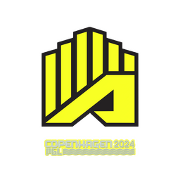 AMKAL ESPORTS | Копенгаген-2024