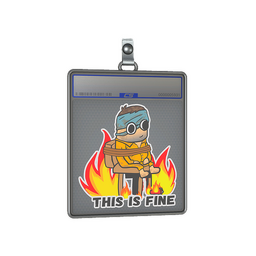 Sticker Slab | This Is Fine (H)