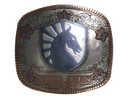 Sticker | Team Liquid (Foil) | Austin 2025
