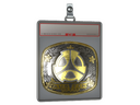 Sticker Slab | M80 (Gold) | Austin 2025