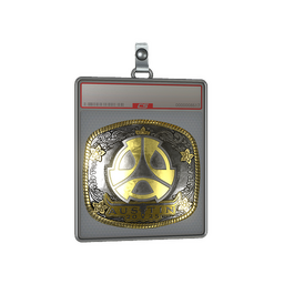 Sticker Slab | M80 (Gold) | Austin 2025