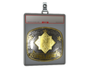 Sticker Slab | Nemiga (Gold) | Austin 2025