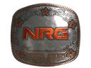 Sticker | NRG (Foil) | Austin 2025