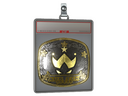 Sticker Slab | Wildcard (Gold) | Austin 2025