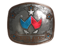 Sticker | Wildcard (Foil) | Austin 2025