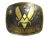 Sticker | Vitality (Gold) | Austin 2025