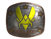 Sticker | Vitality (Foil) | Austin 2025