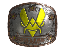 Sticker | Vitality | Austin 2025