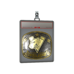 Sticker Slab | Virtus.Pro (Gold) | Austin 2025
