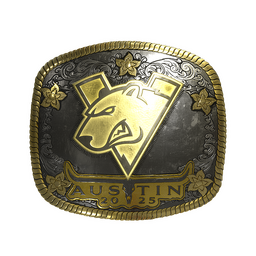 Virtus.Pro (Gold) | Austin 2025