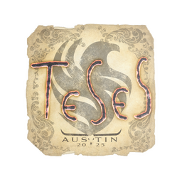TeSeS | Austin 2025
