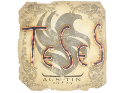 Sticker | TeSeS | Austin 2025
