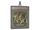 Sticker Slab | TeSeS (Gold) | Austin 2025
