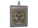 Sticker Slab | torzsi (Gold) | Austin 2025