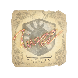 Twistzz | Austin 2025