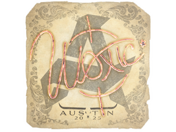 Sticker | woxic | Austin 2025