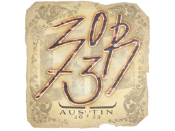 Sticker | zorte | Austin 2025