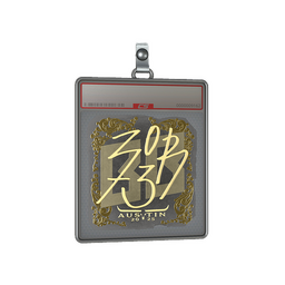 Sticker Slab | zorte (Gold) | Austin 2025