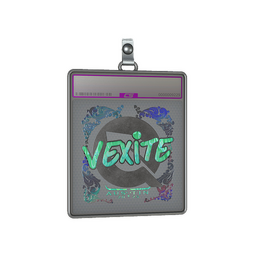 Sticker Slab | vexite (Holo) | Austin 2025