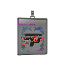 Sticker Slab | snow (Holo) | Austin 2025