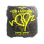 Sticker | ropz (Foil, Champion) | Austin 2025