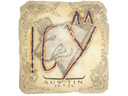 Sticker | ICY | Austin 2025