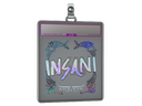 Sticker Slab | insani (Holo) | Austin 2025