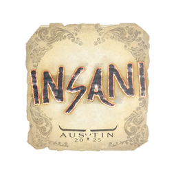 insani | Austin 2025